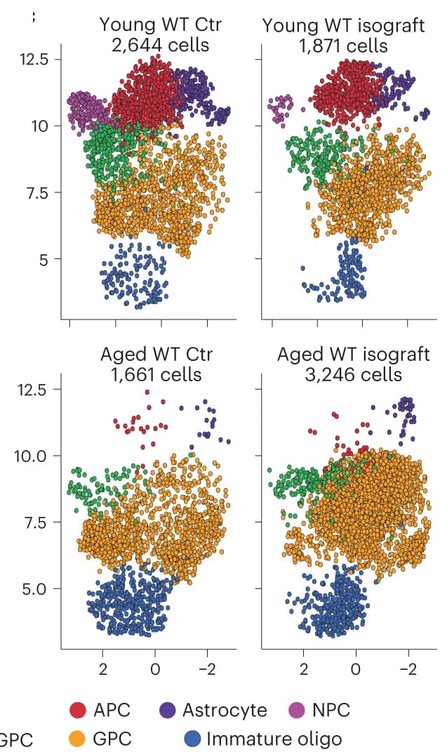 Open access visualization of Scatter Plot, UMAP, PCA, scRNA-seq, Cell Populations