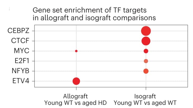 Open access visualization of Bubble Plot, Gene Set Enrichment Analysis, Transcription Factors, Regulons, Upregulated Genes
