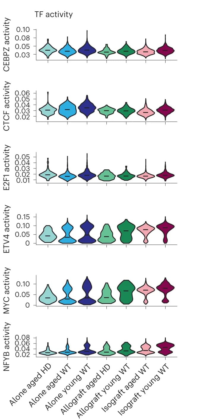 Open access visualization of Violin Plot, Transcription Factors, SCENIC, Competitive Advantage, Relative Activity