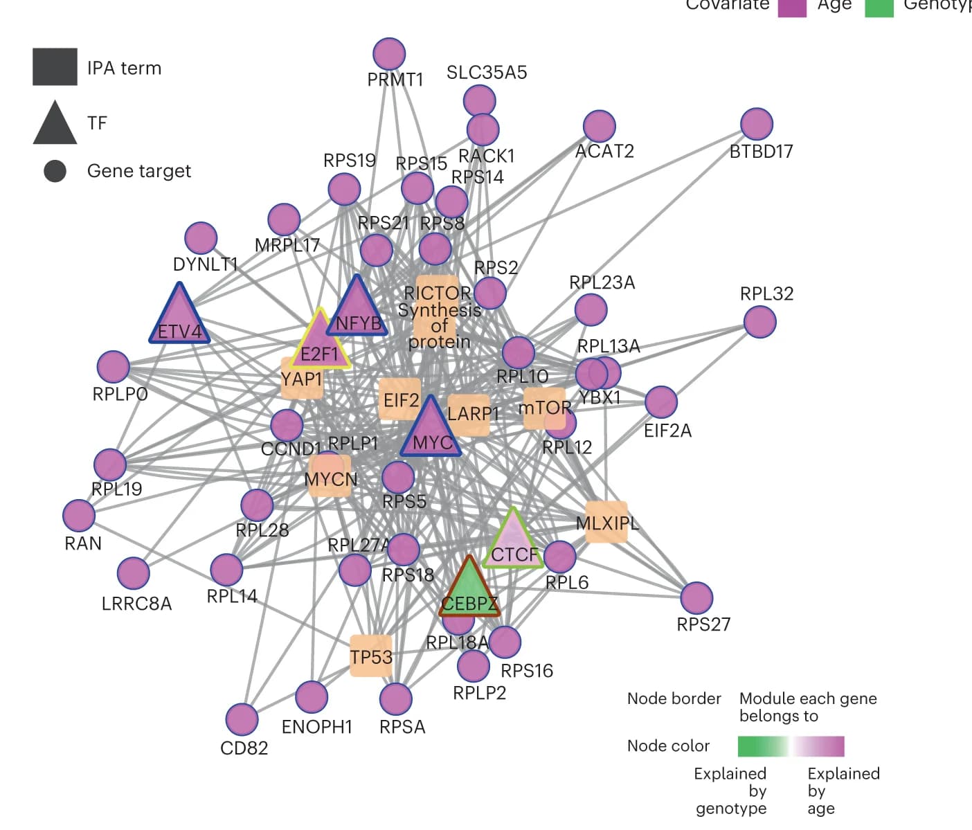 Open access visualization of Network, Pathway, Regulatory Network, Downstream Targets, Signaling Pathways