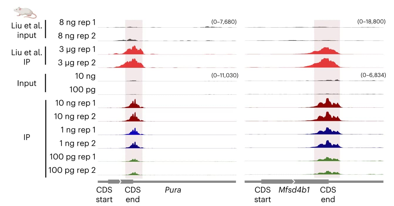 Open access visualization of Line Plot, Density Plot, Genome Browser, Transcripts, m6A Enrichment