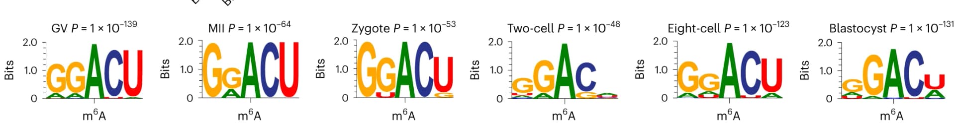 Open access visualization of Bar Plot, Consensus motifs, m6A peaks, Biological replicate
