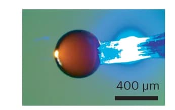 Open access visualization of Microscopy, Microfluidic Fluid Delivery, Blue MicroLED