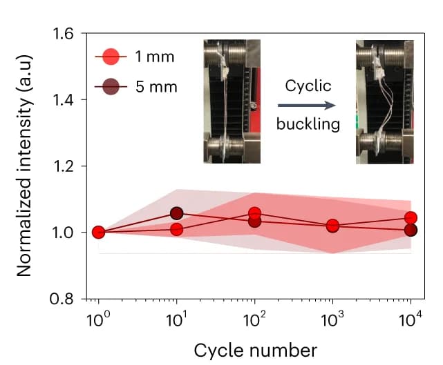 Open access visualization of Line Plot, Error Bars, Cyclic Buckling, Gut Fiber, LED