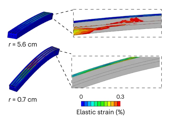 Open access visualization of 3D Plot, Spatial Strain Distribution, Gut Fiber, Radii of Curvature