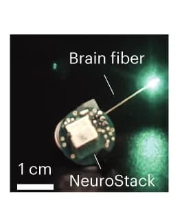Open access visualization of Photo, Green µLEDs, Brain Fiber, Wireless Control