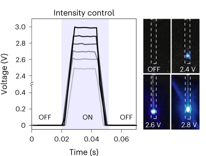 Open access visualization of Line Plot, Photo, Intensity Module, µLED Brightness, Bias Voltage