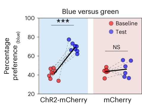 Open access visualization of Scatter Plot, Line Plot, Place Preference, Optical Stimulation, ChR2-mCherry