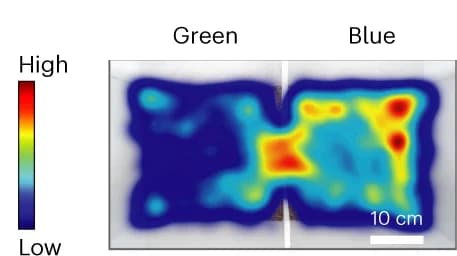 Open access visualization of Heatmap, Heat-maps, Animal Position, Assays