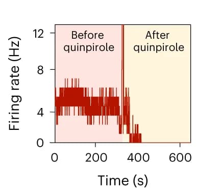 Open access visualization of Line Plot, Line Step, Firing Rate, DA Neuron, Quinpirole