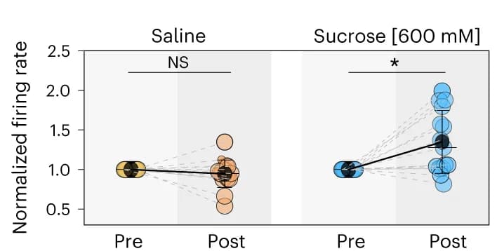 Open access visualization of Scatter Plot, Bubble Plot, Line Plot, Intraduodenal Sucrose, Firing Rate