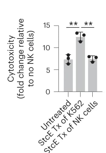 Open access visualization of Bar Plot, Error Bars, NK cell killing, K562 cells, StcE treatment