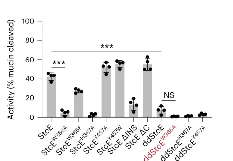 Open access visualization of Bar Plot, Error Bars, Scatter Plot, Quantification, Digestion