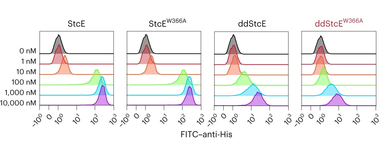 Open access visualization of Density Plot, Line Plot, Flow plots, Cell-surface binding, StcE variants