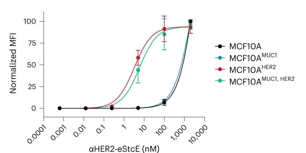 Open access visualization of Line Plot, Error Bars, Binding Curves, HER2, Fluorescence Intensity