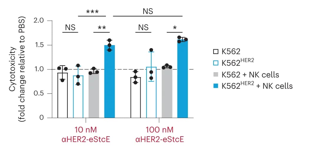 Open access visualization of Bar Plot, Error Bars, NK Cell Killing, K562 Cells, HER2 Cells