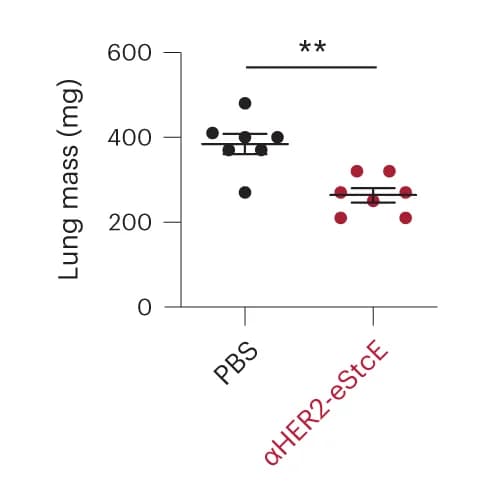 Open access visualization of Scatter Plot, Error Bars, Lung Masses, In Vivo