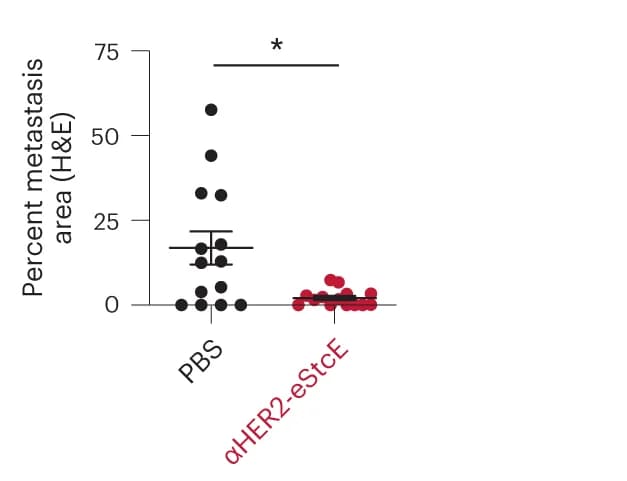 Open access visualization of Scatter Plot, Error Bars, Lung Metastases, H&E Staining, In Vivo