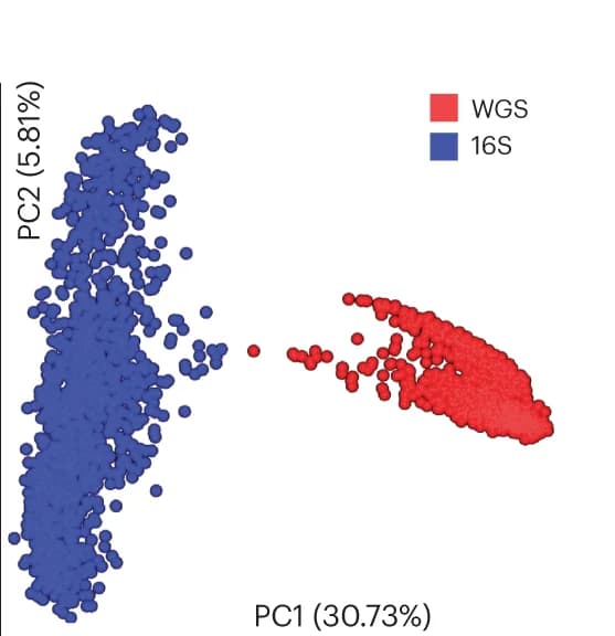 Open access visualization of Scatter Plot, PCA, BrayCurtis, 16S V4 rRNA, ASV