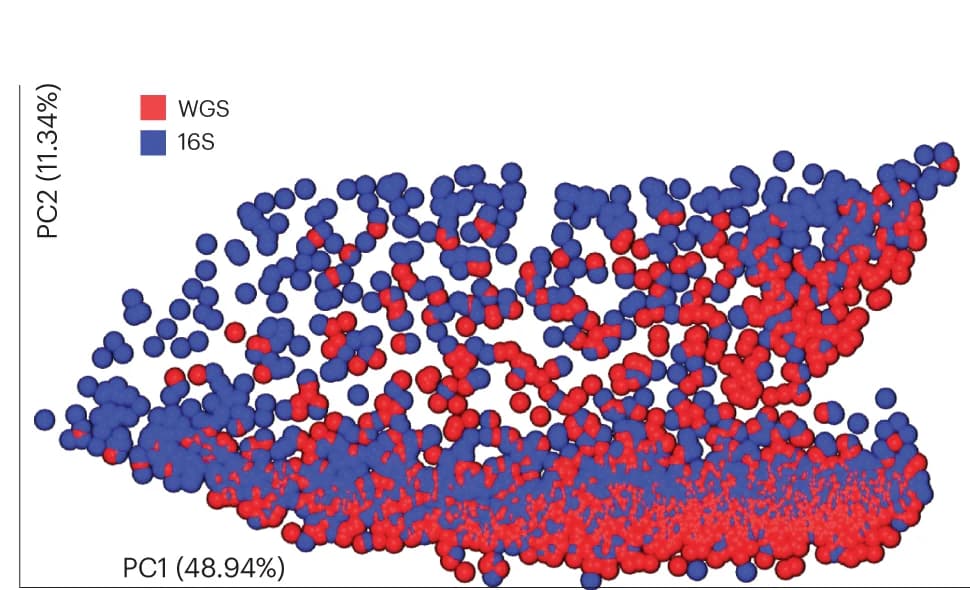 Open access visualization of Scatter Plot, PCA, Weighted UniFrac, ASV, Genome Identifier