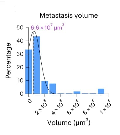 Open access visualization of Histogram, Line Plot, Metastasis Volume, Mouse, Quantification