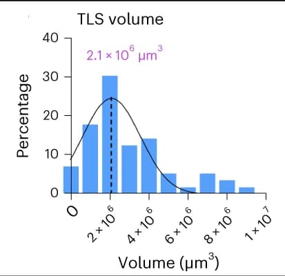 Open access visualization of Histogram, Line Plot, Density Plot, TLS Volume, Mouse
