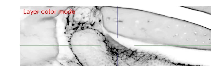 Open access visualization of Microscopy, Display Models, Monochrome Image, Layer Color Mode