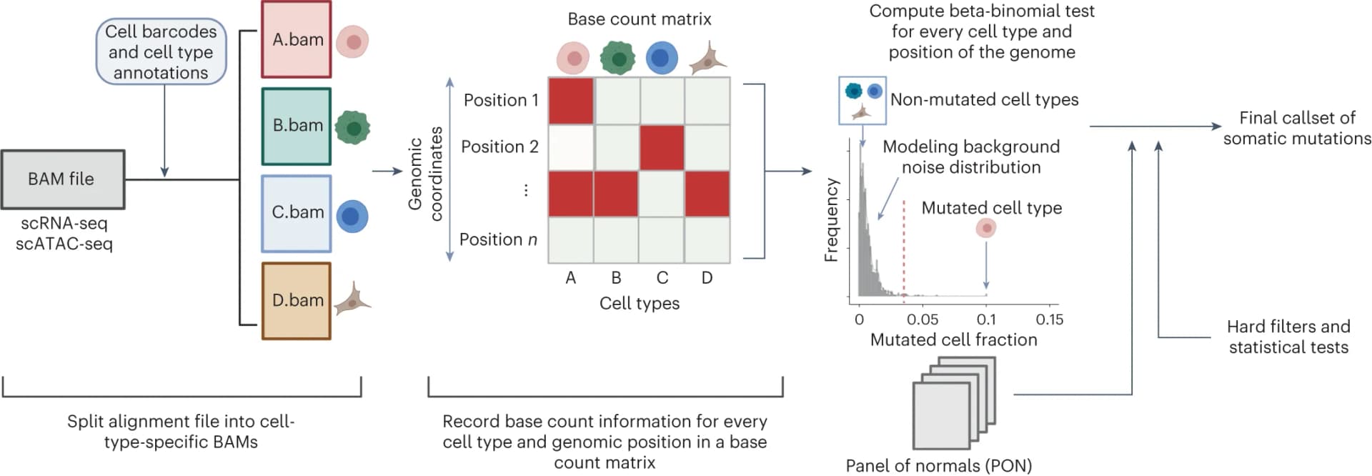 Open access visualization of Workflow, Heatmap, Histogram, Somatic Mutations, Single-Cell Profiling