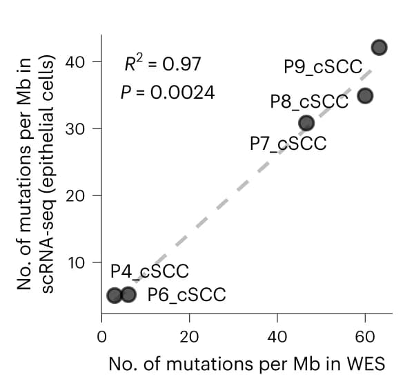 Open access visualization of Scatter Plot, Regression Plot, Mutational Burdens, WES, SComatic