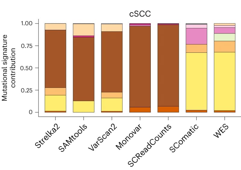 Open access visualization of Stacked Bar Plot, COSMIC Signatures, Mutations, cSCC, scRNA-seq data