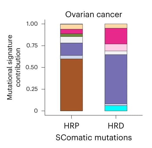 Open access visualization of Stacked Bar Plot, COSMIC Signatures, Mutations, SComatic, scRNA-seq data