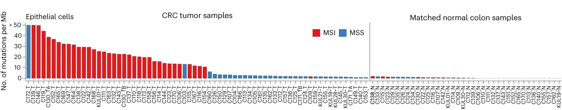 Open access visualization of Bar Plot, Stacked Bar Plot, Epithelial Cells, Mutational Burden, SComatic