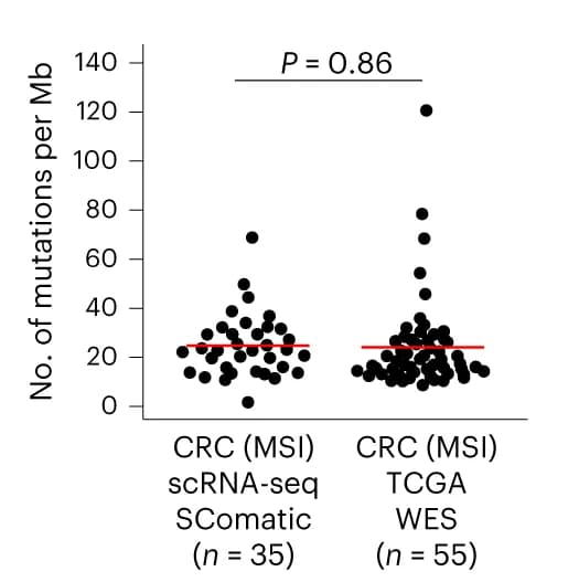 Open access visualization of Scatter Plot, Epithelial Cells, MSI Tumors, Mutational Burden, SComatic