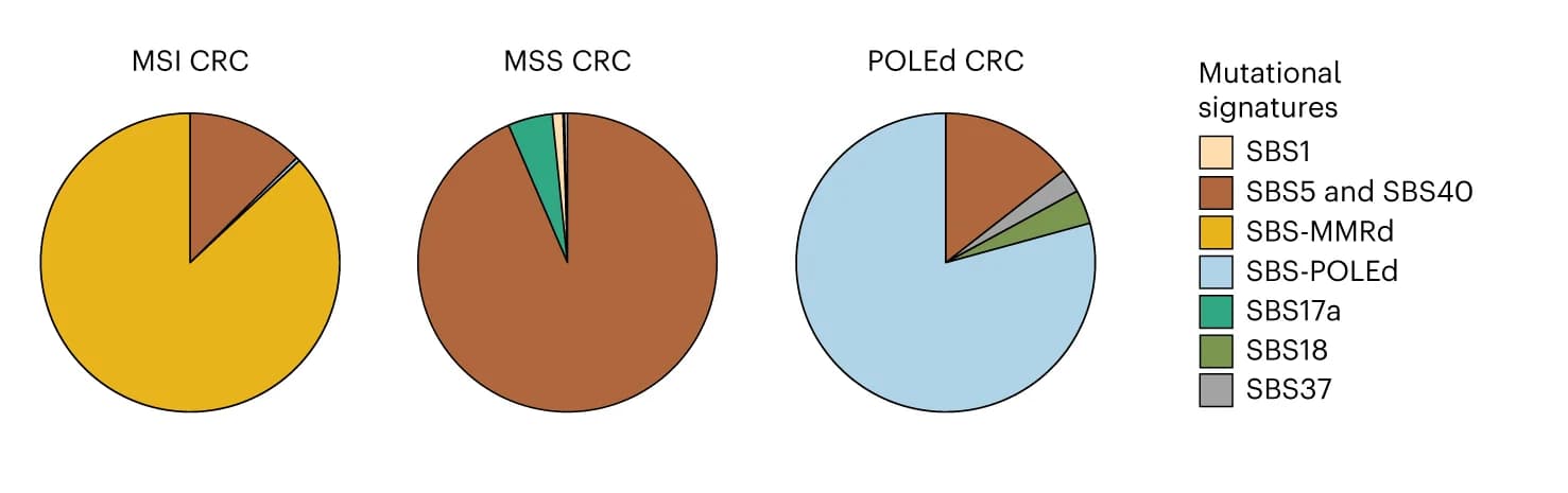 Open access visualization of Pie Chart, Mutational Spectra, SComatic, COSMIC Signatures, MMR Deficiency