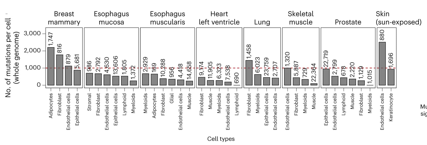 Open access visualization of Bar Plot, Mutational Burden, Cells, Tissues, GTEx