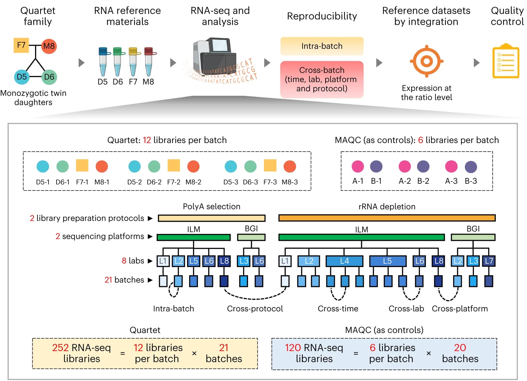 Open access visualization of Workflow, Flowchart, Illustration, RNA Reference Materials, RNA-seq