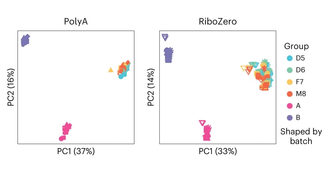 Open access visualization of Scatter Plot, PCA, Scatter Plots, RNA-seq, Quartet RNA Reference Materials