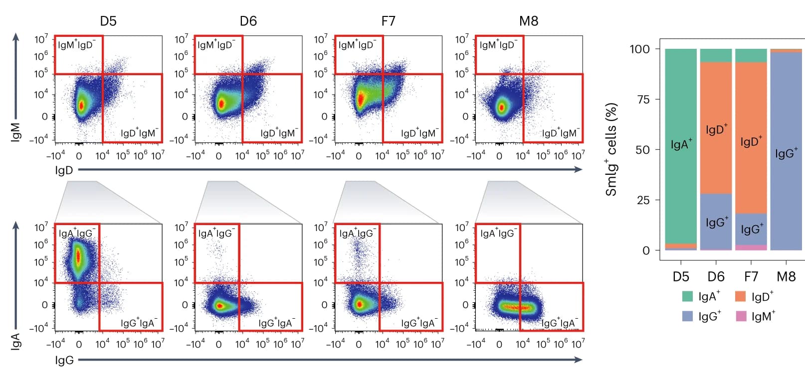 Open access visualization of Scatter Plot, Stacked Bar Plot, Flow cytometric dot plots, IgD+ Cells, IgM+ Cells