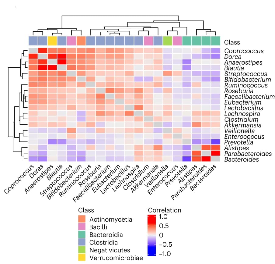 Open access visualization of Heatmap, Clustered, Spearman Correlation, Genera Abundance, Healthy Adult Stool