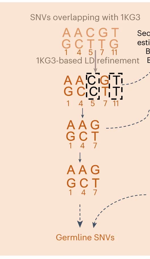 Open access visualization of Workflow, Flowchart, Illustration, SNVs, Genotype Likelihoods