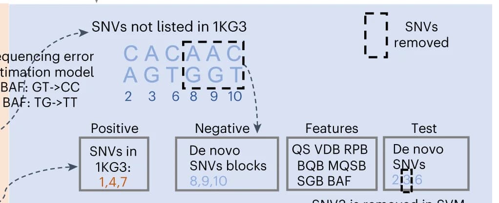 Open access visualization of Workflow, Flowchart, Illustration, Somatic SNVs, Sequencing Depth