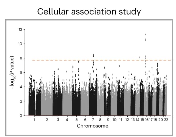 Open access visualization of Manhattan Plot, GWAS, Cellular Quantitative Traits