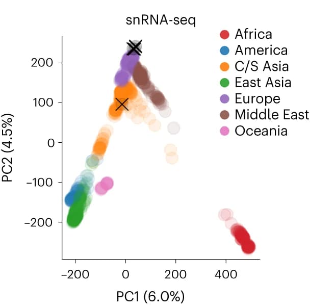 Open access visualization of Scatter Plot, PCA, Retina Samples, Monopogen Genotypes, snRNA-seq Data