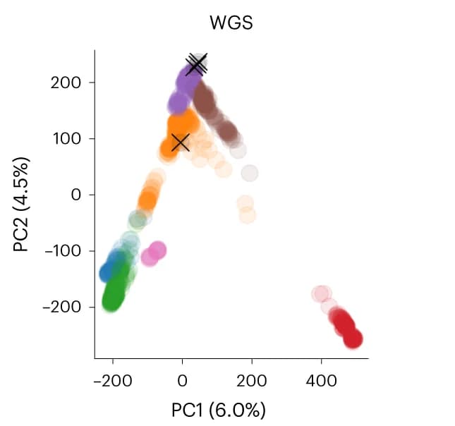 Open access visualization of Scatter Plot, PCA, Retina Samples, WGS Data, HGDP Reference Panel