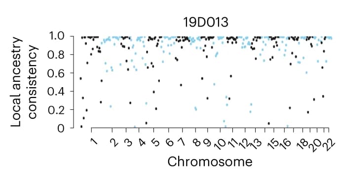 Open access visualization of Scatter Plot, Manhattan Plot, Local Ancestry Inference, Accuracy, Segment