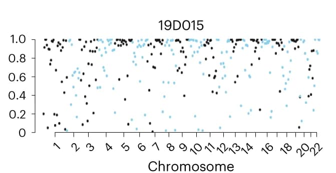 Open access visualization of Scatter Plot, Manhattan Plot, Local Ancestry Inference, Accuracy, Segment