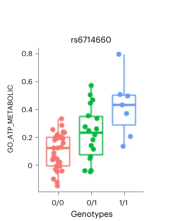 Open access visualization of Box Plot, Scatter Plot, Boxplot, ATP_METABOLIC, Genotypes