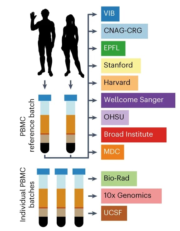 Open access visualization of Workflow, Illustration, Experimental Design, Schematic