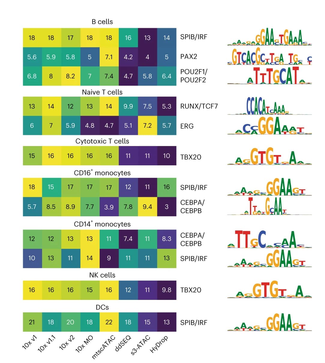 Open access visualization of Heatmap, Enrichment Score, Cell Types, Transcription Factor Motifs