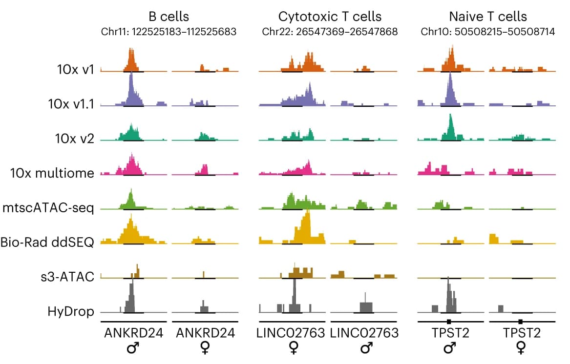 Open access visualization of Line Plot, Density Plot, B Cells, Cytotoxic T Cells, Naive T Cells